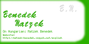 benedek matzek business card